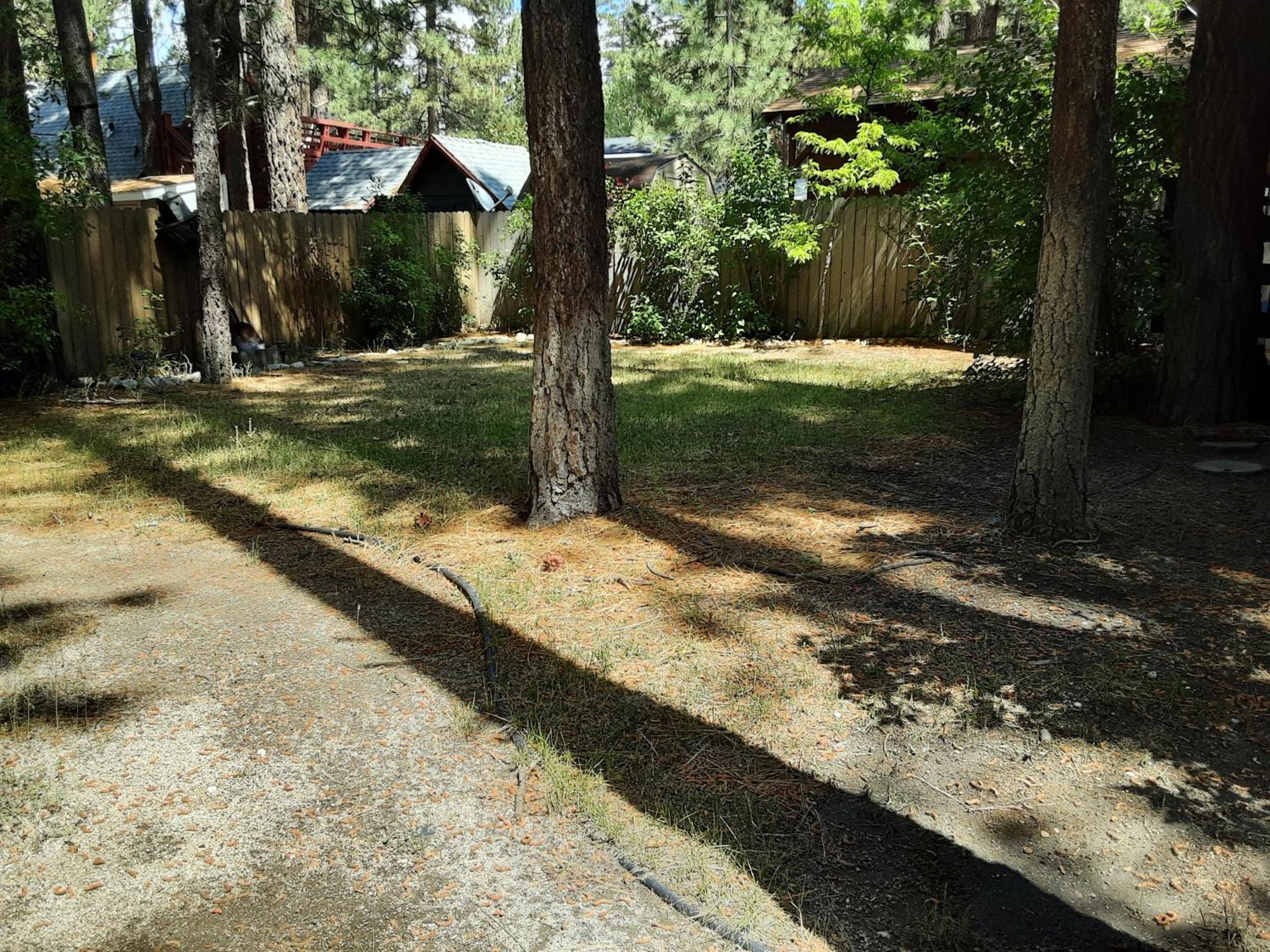 Bearadise - Prime Location For A Family Getaway In The Winter Or Summer Big Bear City Exteriör bild